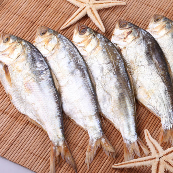 餐桌海鲫鱼